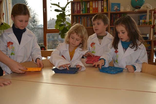 Kindergarten6 Kindergarten6