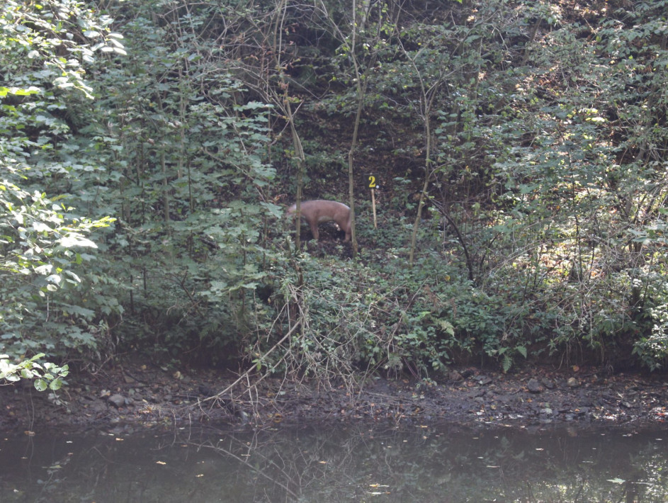 IMG_2602 IMG_2602