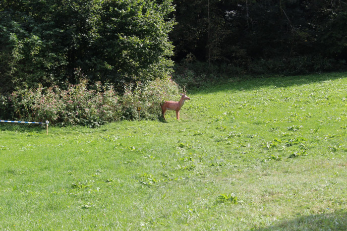 IMG_2625 IMG_2625