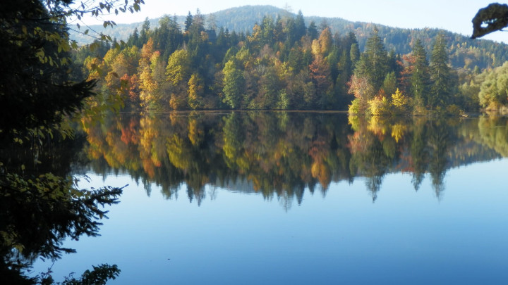 Gegen das Vergessen: 1. Kärntner Demenzmarsch