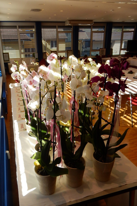 Siegerehrung Blumenolympiade 2018