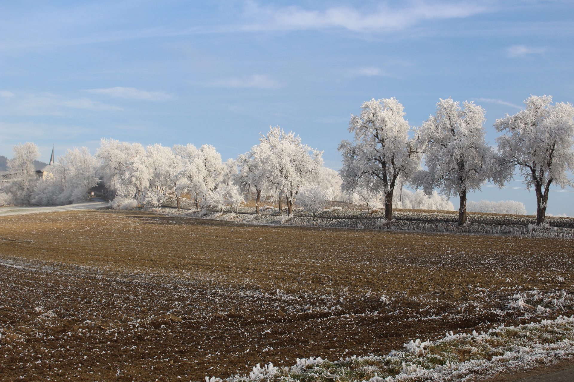 Tigringer Allee Tigringer Allee