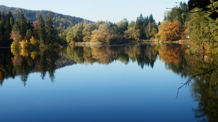 Wir schützen unser Klima
