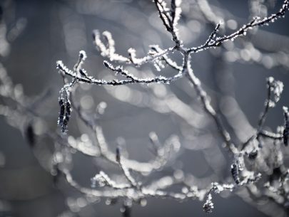 ©KhFessl_DSC0240 ©KhFessl_DSC0240