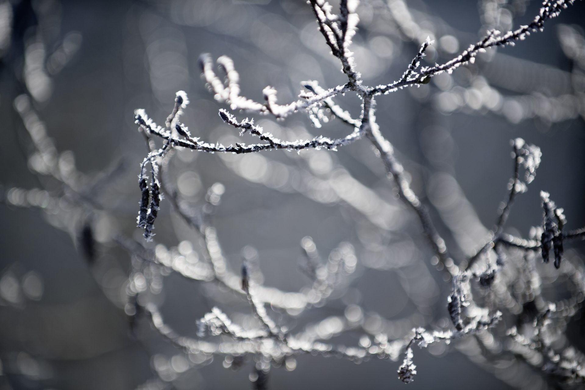 ©KhFessl_DSC0240 ©KhFessl_DSC0240