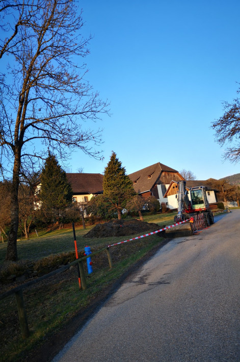 IMG_20190329_062909 IMG_20190329_062909