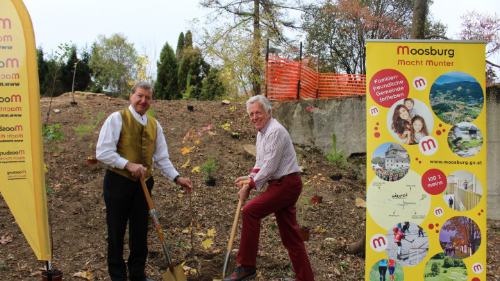 MGV Bärndorf For Forest