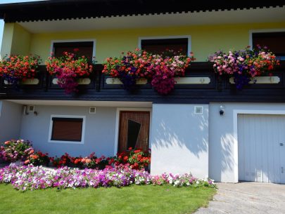 Della Schiava3 Della Schiava3