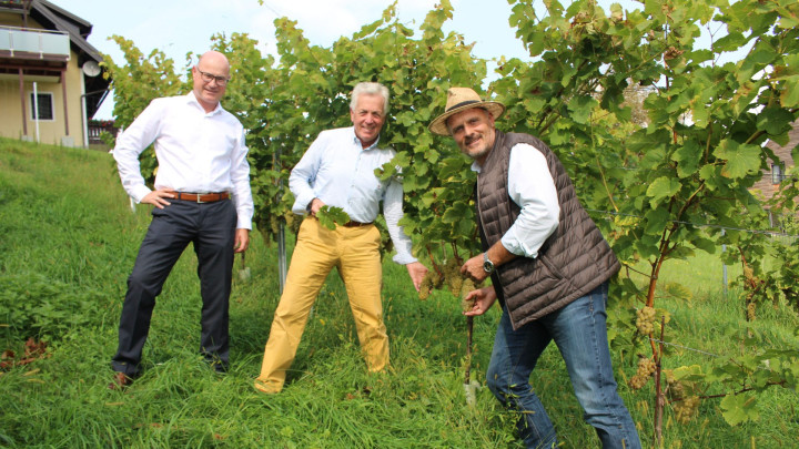 Öko Wein in Moosburg