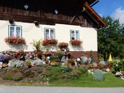 Schwarzfu7a Schwarzfu7a