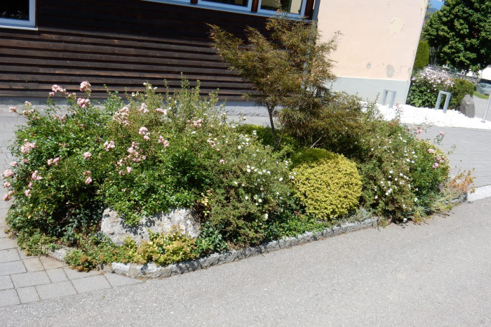 VS Tigring3 VS Tigring3