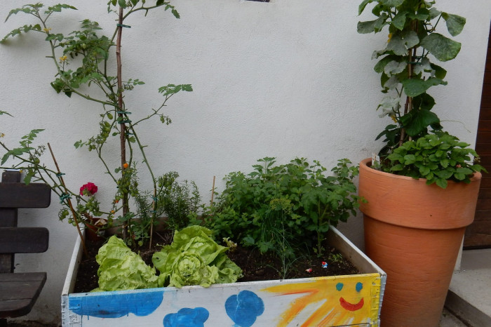 Wassacher11a Wassacher11a