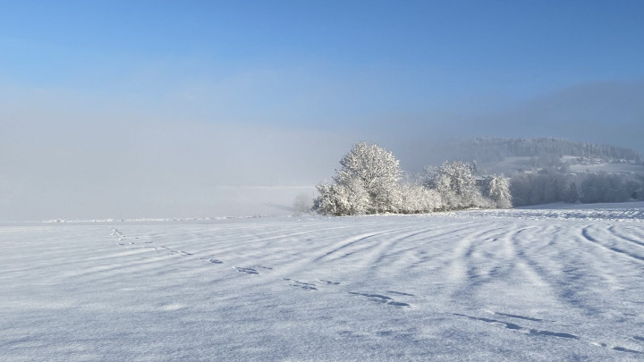 Start in das neue Jahr