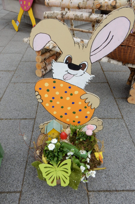 DSCN5634 DSCN5634
