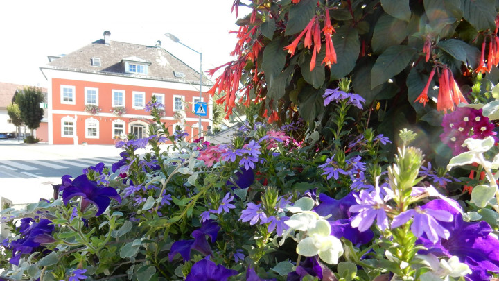 Blumenolympiade 2021 - Wir sind dabei! Auftakt am 20. Mai am Kirchplatz
