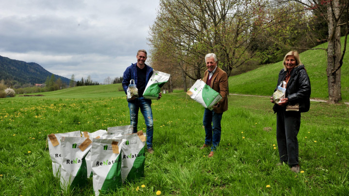 Die Bienen sind im Anflug