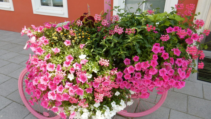 Vielen Dank für die Blumen