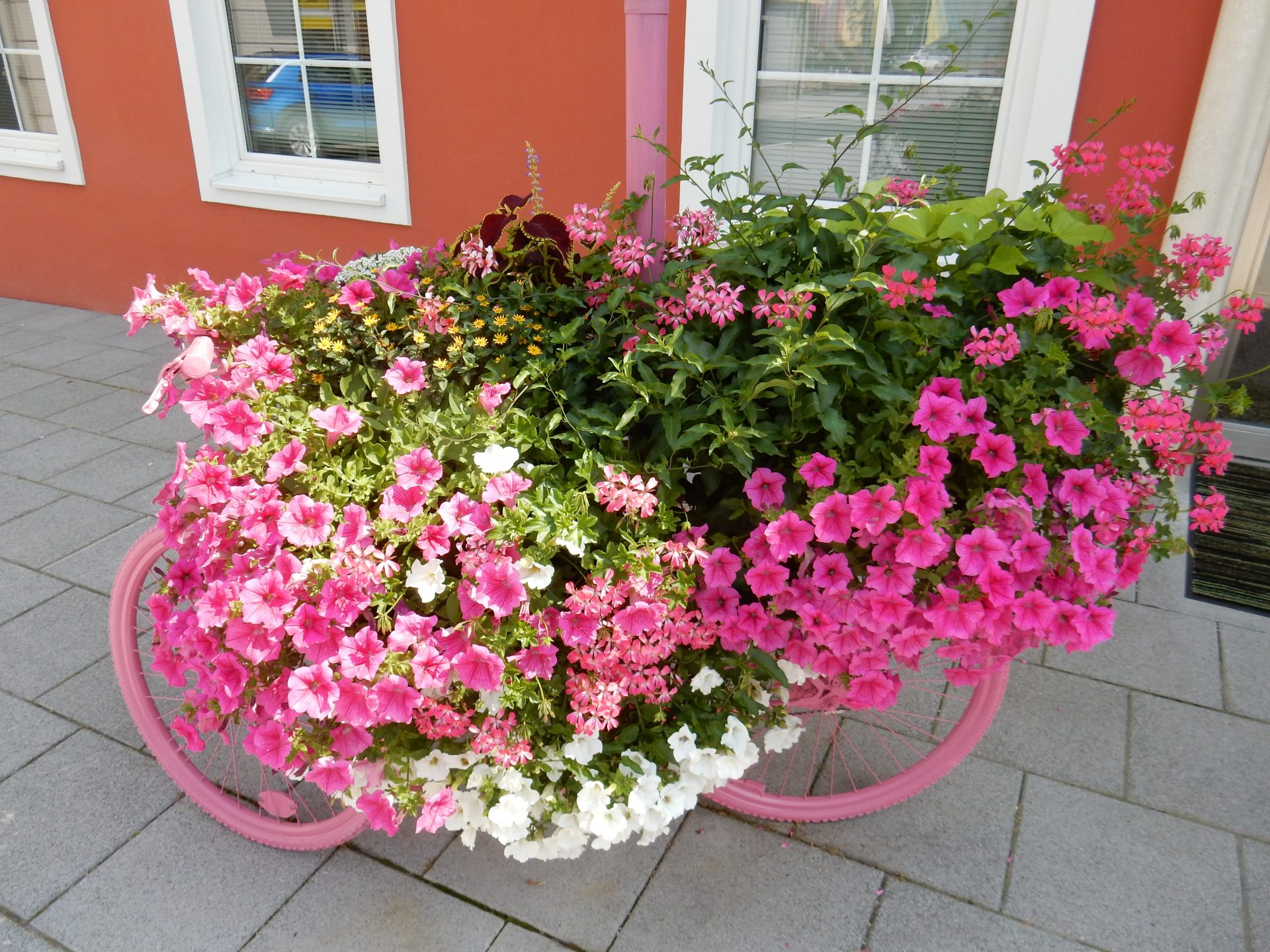 Vielen Dank für die Blumen