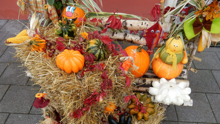 Der Herbst zieht ins Land