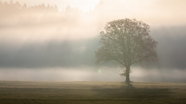 Schauen wir gemeinsam auf das Klima