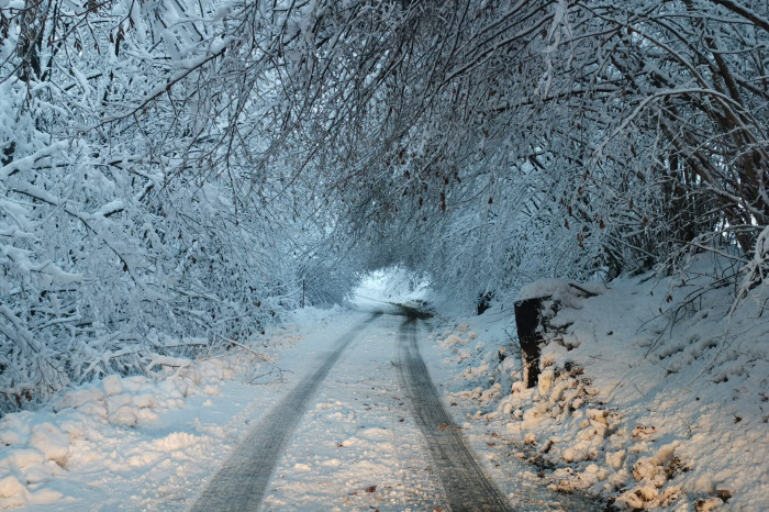 IMG_20220106_074851 IMG_20220106_074851