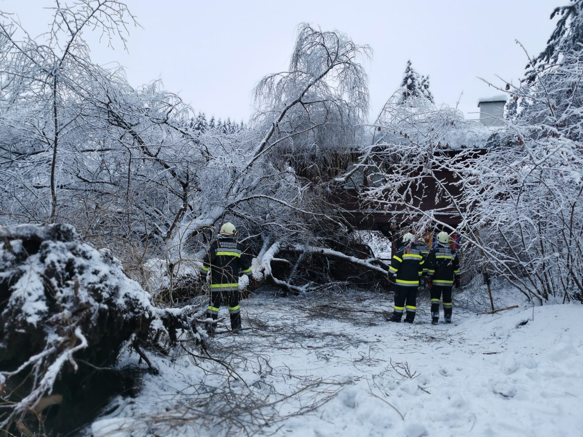 IMG_20220106_080133 IMG_20220106_080133