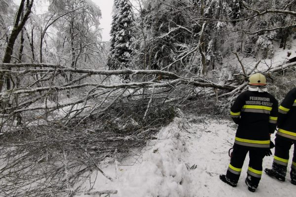 IMG_20220106_094314 IMG_20220106_094314