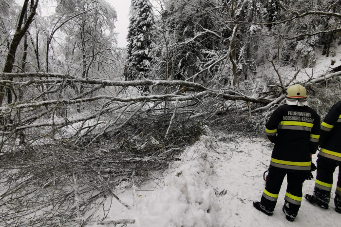 IMG_20220106_094314 IMG_20220106_094314