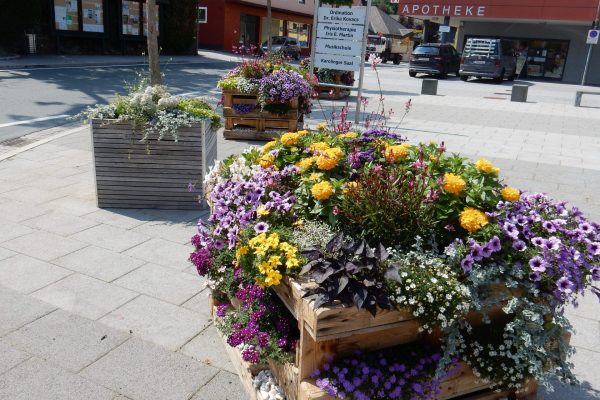 Blumen 2021 Blumen 2021