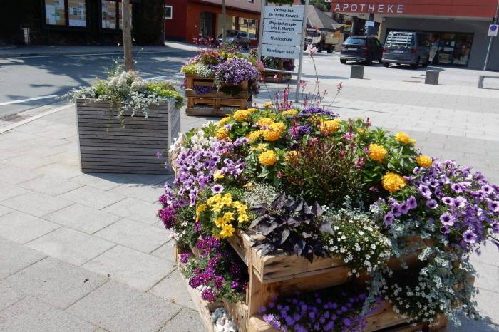 Blumen 2021 Blumen 2021