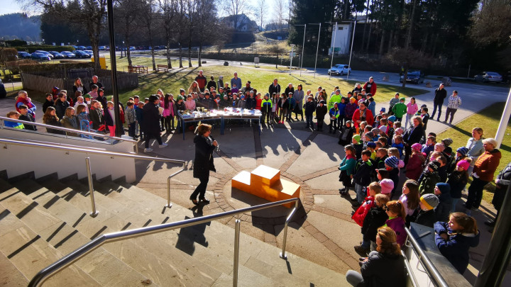 Känguru der Mathematik