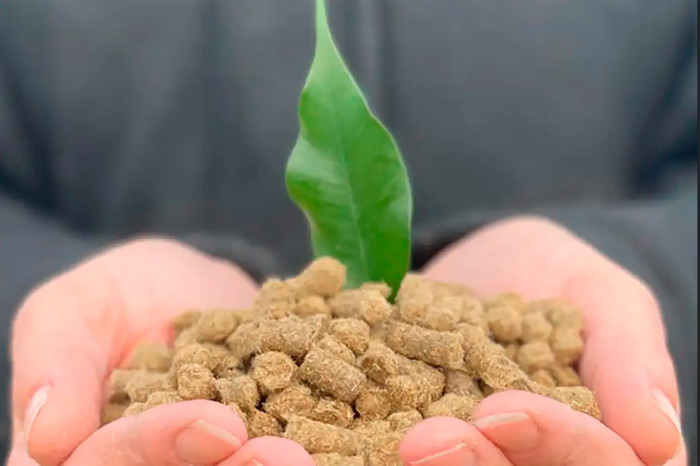 Schafwoll-Pallets Schafwoll-Pallets