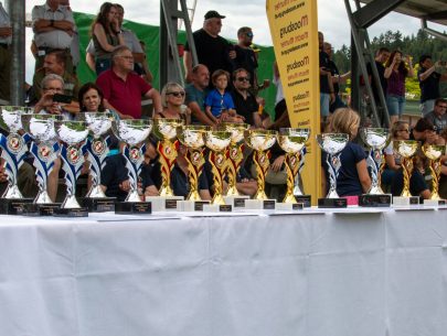 Bezirksleistungsbewerbe-Klagenfurt-Land-2022-16 Bezirksleistungsbewerbe-Klagenfurt-Land-2022-16