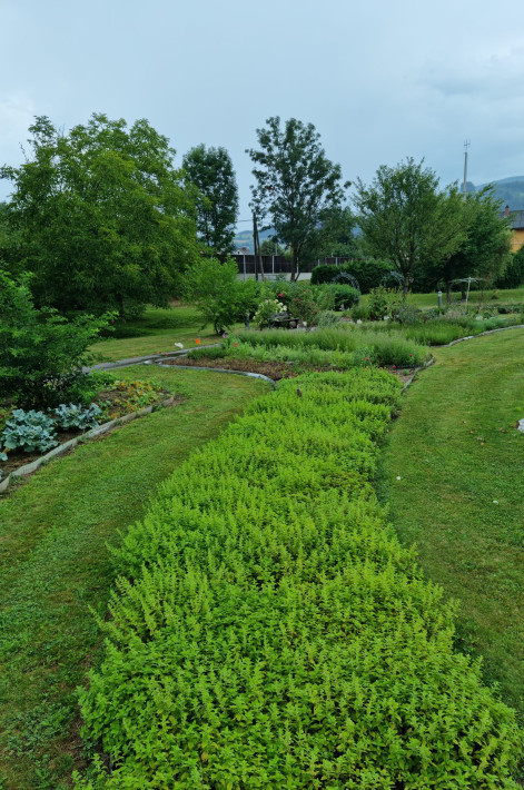 20220806_094615 20220806_094615