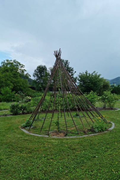 20220806_094702 20220806_094702