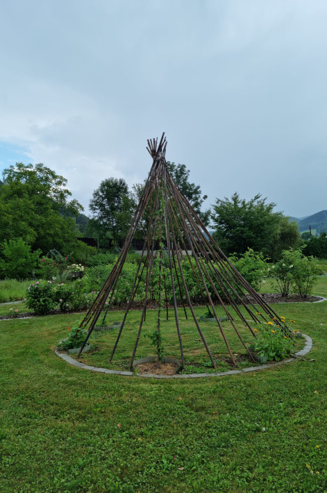 20220806_094702 20220806_094702