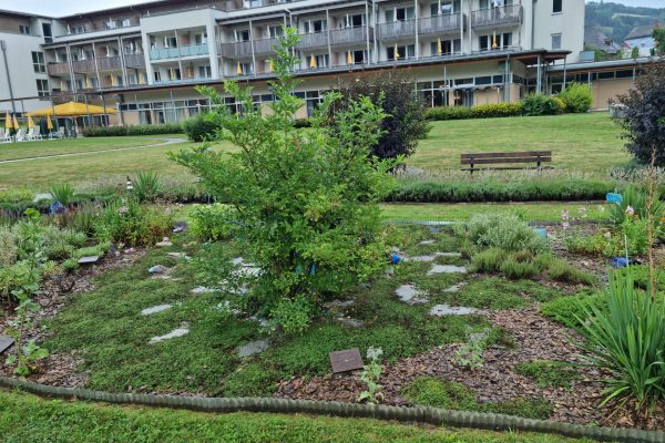 20220806_094730 20220806_094730