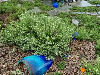 20220806_095317 20220806_095317