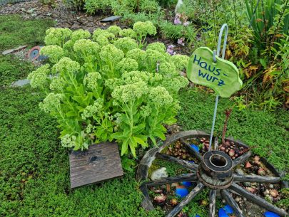 20220806_095359 20220806_095359