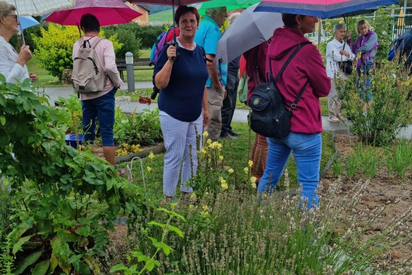 20220806_095444 20220806_095444