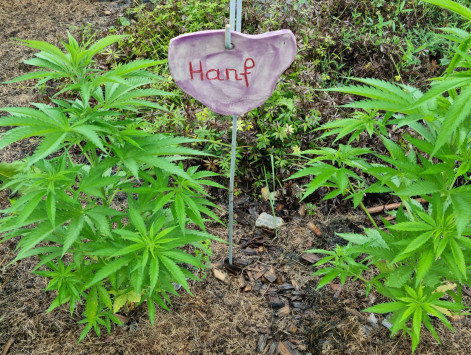 20220806_095710 20220806_095710