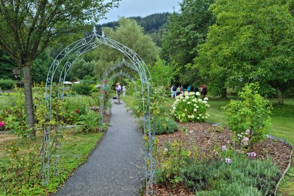 20220806_101052 20220806_101052