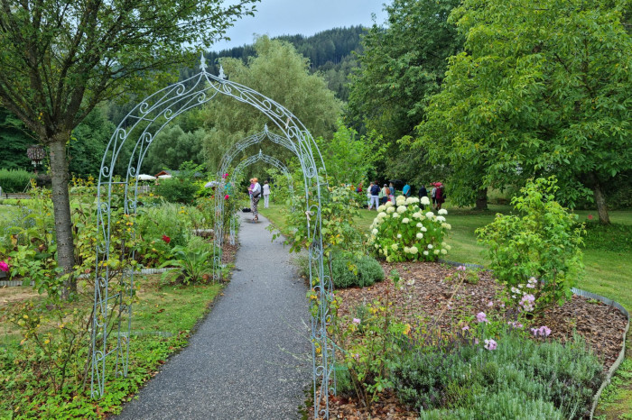 20220806_101052 20220806_101052