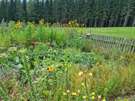 20220806_140229 20220806_140229