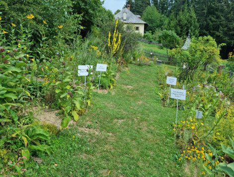 20220806_141015 20220806_141015