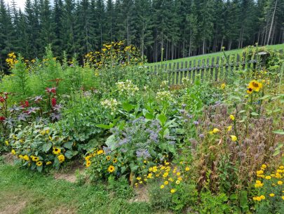 20220806_141044 20220806_141044