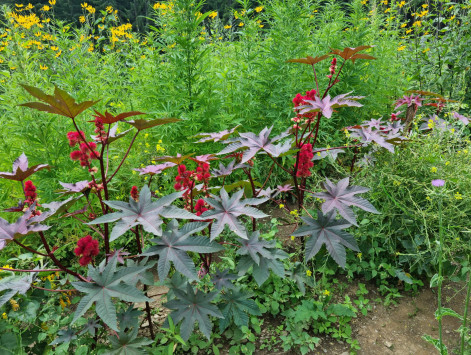 20220806_141102 20220806_141102