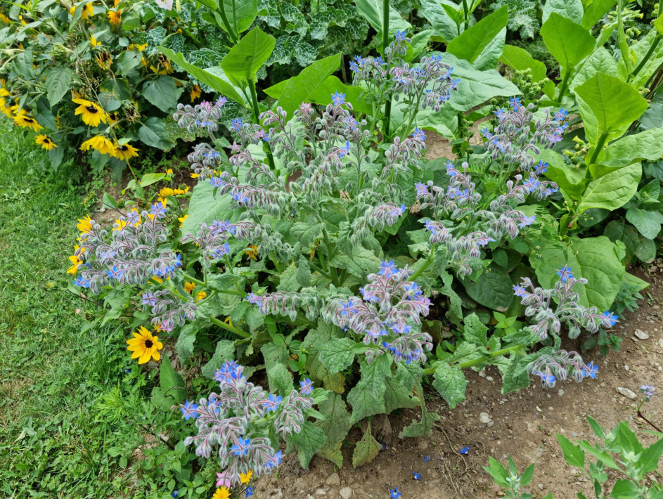 20220806_141137 20220806_141137