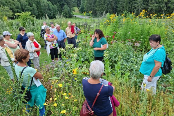 20220806_144230 20220806_144230