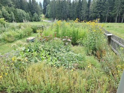 DJI_20220806_140135_266 DJI_20220806_140135_266